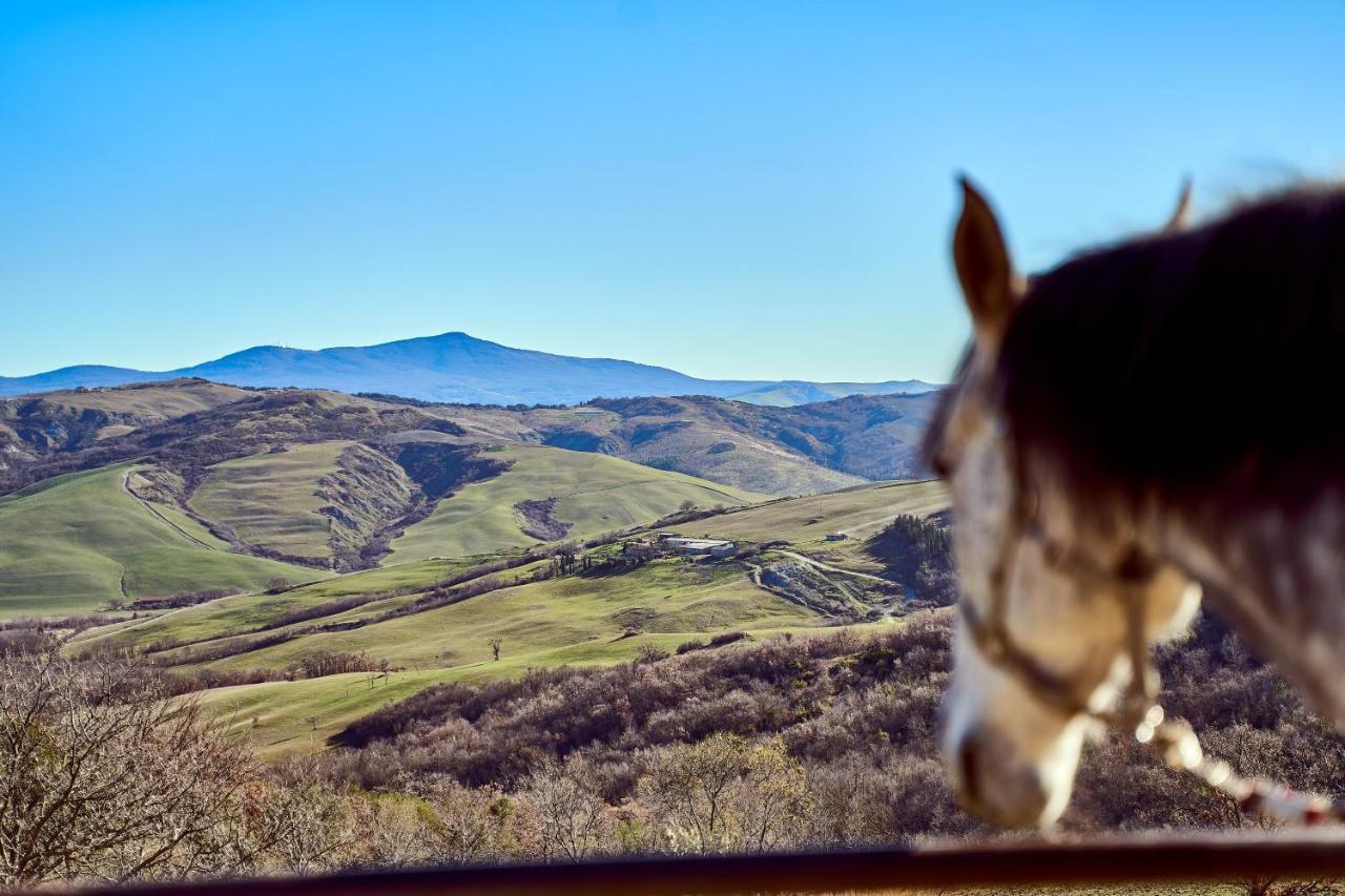 Az.Agr. Il Cavalleggero Campiglia dʼOrcia Dış mekan fotoğraf
