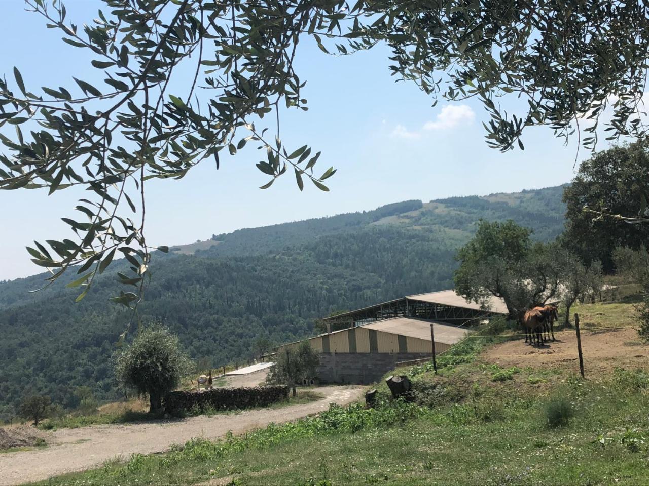Az.Agr. Il Cavalleggero Campiglia dʼOrcia Dış mekan fotoğraf