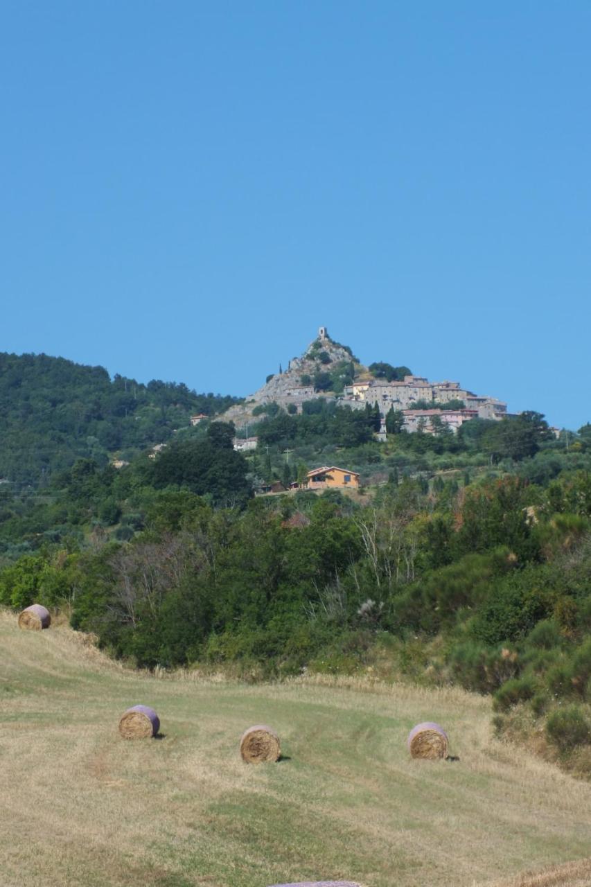 Az.Agr. Il Cavalleggero Campiglia dʼOrcia Dış mekan fotoğraf