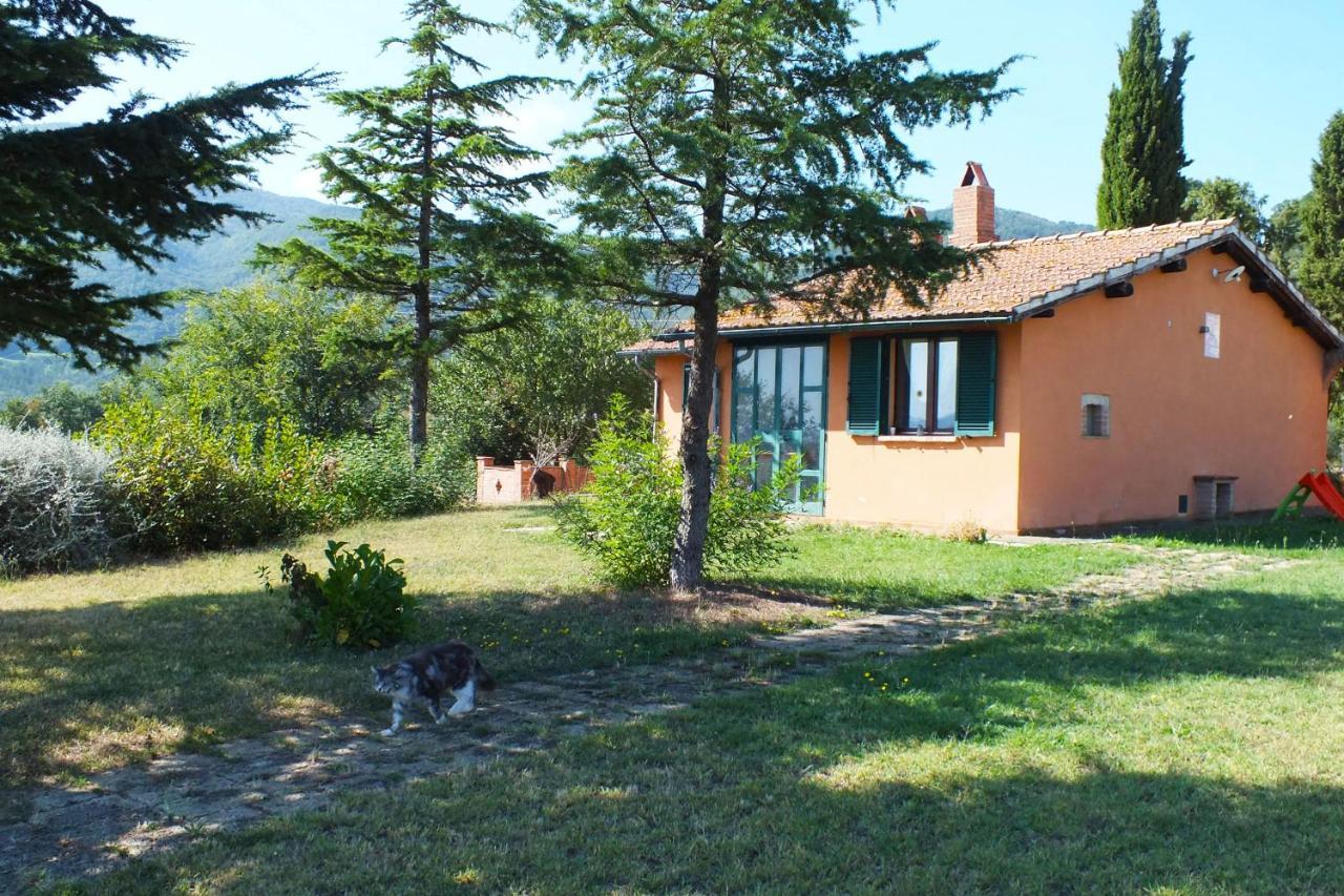 Az.Agr. Il Cavalleggero Campiglia dʼOrcia Dış mekan fotoğraf