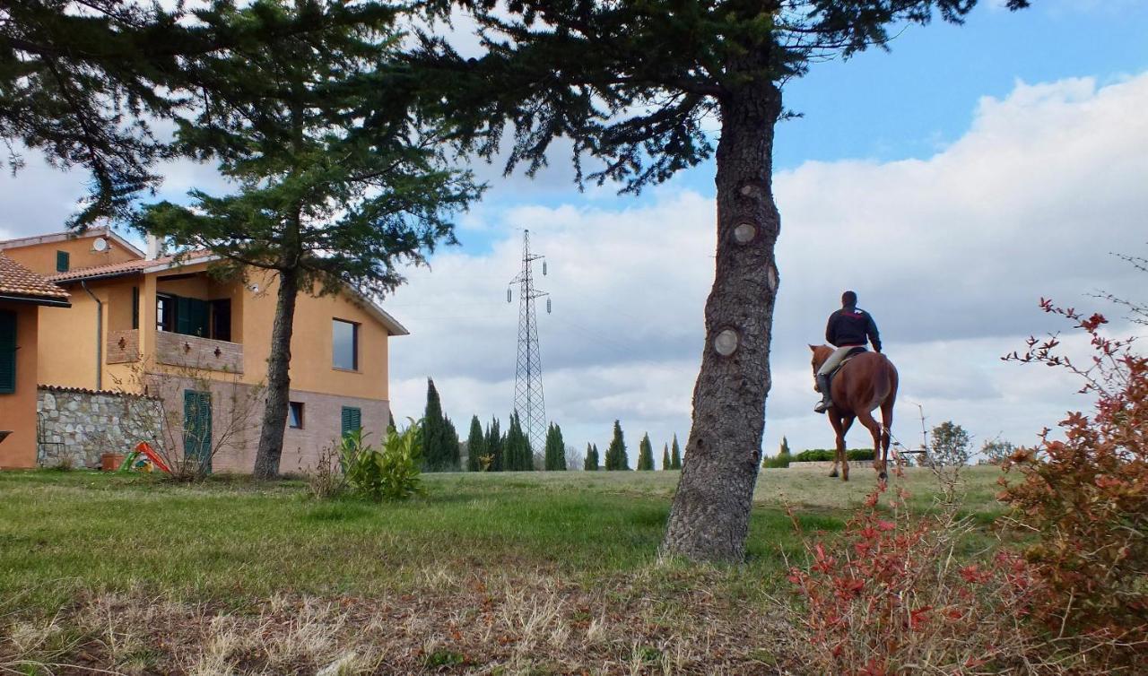 Az.Agr. Il Cavalleggero Campiglia dʼOrcia Dış mekan fotoğraf