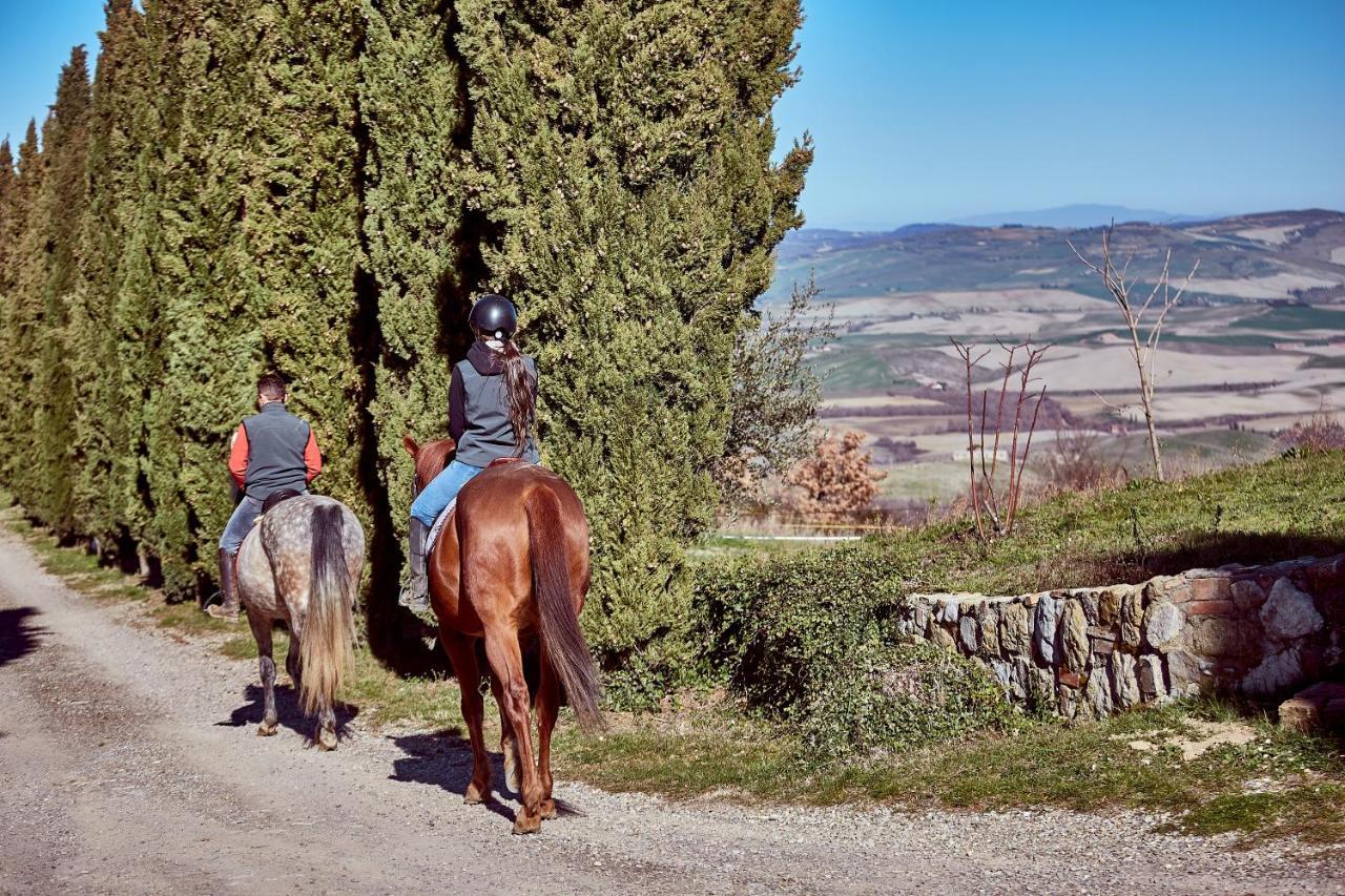 Az.Agr. Il Cavalleggero Campiglia dʼOrcia Dış mekan fotoğraf